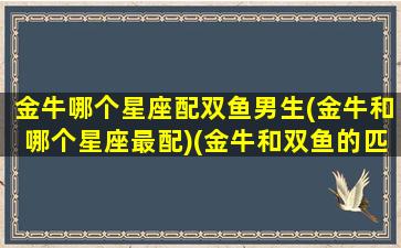 金牛哪个星座配双鱼男生(金牛和哪个星座最配)(金牛和双鱼的匹配度)