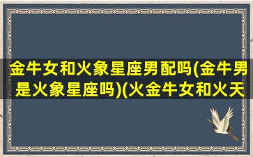 金牛女和火象星座男配吗(金牛男是火象星座吗)(火金牛女和火天蝎男)