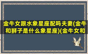 金牛女跟水象星座配吗夫妻(金牛和狮子是什么象星座)(金牛女和水瓶座配吗)