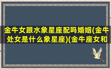 金牛女跟水象星座配吗婚姻(金牛处女是什么象星座)(金牛座女和水瓶女座配吗)