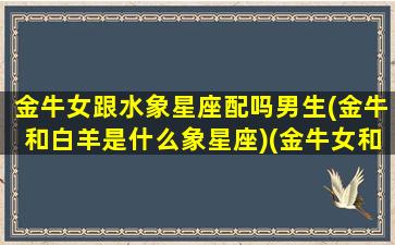 金牛女跟水象星座配吗男生(金牛和白羊是什么象星座)(金牛女和水瓶女配对指数)