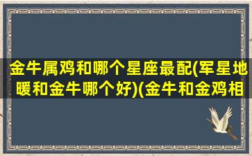 金牛属鸡和哪个星座最配(军星地暖和金牛哪个好)(金牛和金鸡相配吗)