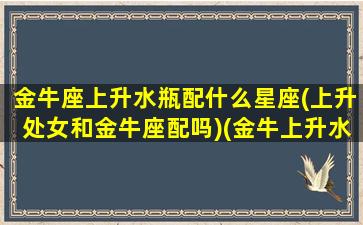 金牛座上升水瓶配什么星座(上升处女和金牛座配吗)(金牛上升水瓶是什么意思)