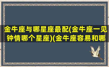 金牛座与哪星座最配(金牛座一见钟情哪个星座)(金牛座容易和哪个星座一见钟情)