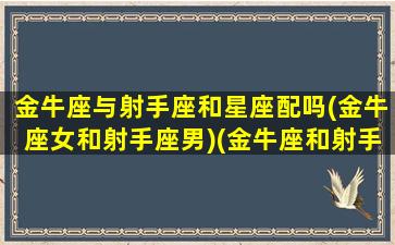 金牛座与射手座和星座配吗(金牛座女和射手座男)(金牛座和射手座适合在一起吗)