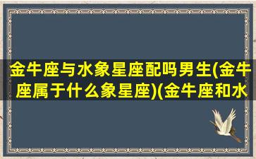 金牛座与水象星座配吗男生(金牛座属于什么象星座)(金牛座和水瓶座星座最配对)