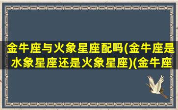 金牛座与火象星座配吗(金牛座是水象星座还是火象星座)(金牛座和辉火)