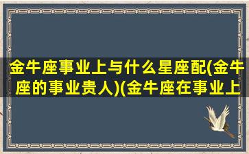 金牛座事业上与什么星座配(金牛座的事业贵人)(金牛座在事业上)