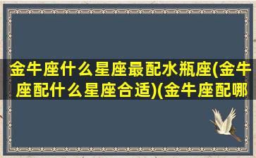 金牛座什么星座最配水瓶座(金牛座配什么星座合适)(金牛座配哪个星座)