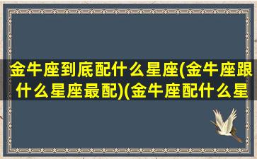 金牛座到底配什么星座(金牛座跟什么星座最配)(金牛座配什么星座合适)