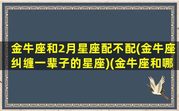 金牛座和2月星座配不配(金牛座纠缠一辈子的星座)(金牛座和哪两个星座)