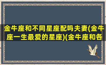 金牛座和不同星座配吗夫妻(金牛座一生最爱的星座)(金牛座和各个星座的配对指数)