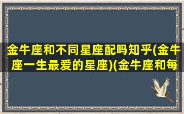 金牛座和不同星座配吗知乎(金牛座一生最爱的星座)(金牛座和每个星座的爱情配合度)