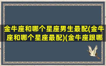 金牛座和哪个星座男生最配(金牛座和哪个星座最配)(金牛座跟哪个星座最般配)