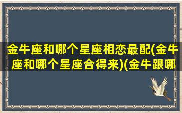 金牛座和哪个星座相恋最配(金牛座和哪个星座合得来)(金牛跟哪个星座)