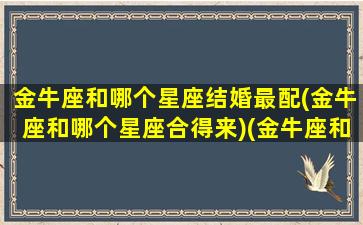 金牛座和哪个星座结婚最配(金牛座和哪个星座合得来)(金牛座和什么星座结婚最合适)