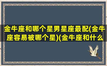 金牛座和哪个星男星座最配(金牛座容易被哪个星)(金牛座和什么男生星座最配)