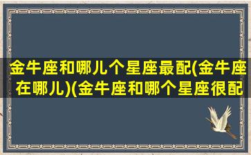 金牛座和哪儿个星座最配(金牛座在哪儿)(金牛座和哪个星座很配)