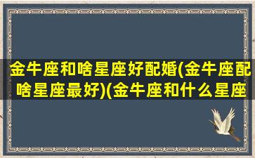 金牛座和啥星座好配婚(金牛座配啥星座最好)(金牛座和什么星座搭配最好)