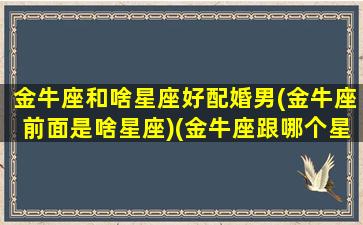 金牛座和啥星座好配婚男(金牛座前面是啥星座)(金牛座跟哪个星座配)