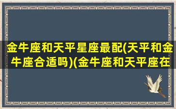 金牛座和天平星座最配(天平和金牛座合适吗)(金牛座和天平座在一起合适吗)