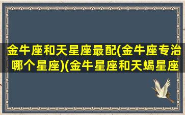 金牛座和天星座最配(金牛座专治哪个星座)(金牛星座和天蝎星座配吗)