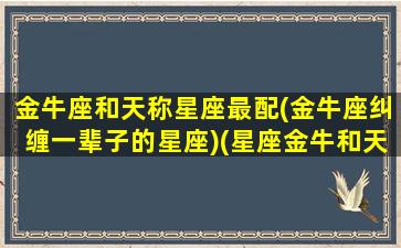 金牛座和天称星座最配(金牛座纠缠一辈子的星座)(星座金牛和天秤)