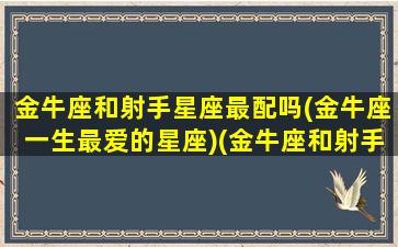 金牛座和射手星座最配吗(金牛座一生最爱的星座)(金牛座和射手座匹配吗)