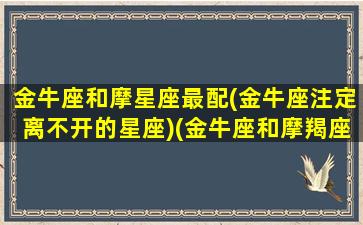 金牛座和摩星座最配(金牛座注定离不开的星座)(金牛座和摩羯座是绝配吗)