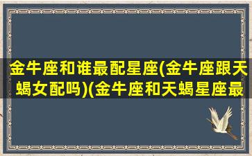 金牛座和谁最配星座(金牛座跟天蝎女配吗)(金牛座和天蝎星座最配对)