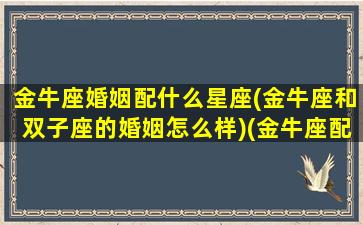 金牛座婚姻配什么星座(金牛座和双子座的婚姻怎么样)(金牛座配什么星座结婚)