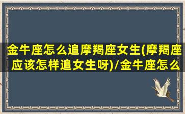 金牛座怎么追摩羯座女生(摩羯座应该怎样追女生呀)/金牛座怎么追摩羯座女生(摩羯座应该怎样追女生呀)-我的网站