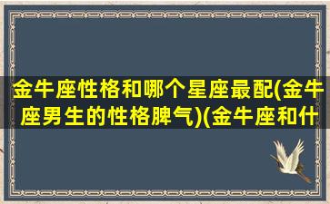 金牛座性格和哪个星座最配(金牛座男生的性格脾气)(金牛座和什么星座最配做男女朋友)