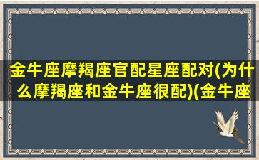 金牛座摩羯座官配星座配对(为什么摩羯座和金牛座很配)(金牛座与摩羯座的配对指数是多少)