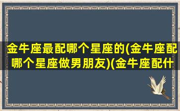 金牛座最配哪个星座的(金牛座配哪个星座做男朋友)(金牛座配什么星座的男朋友)