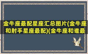 金牛座最配星座汇总图片(金牛座和射手星座最配)(金牛座和谁最配配)