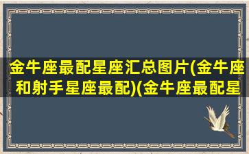 金牛座最配星座汇总图片(金牛座和射手星座最配)(金牛座最配星座排名)