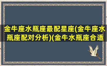 金牛座水瓶座最配星座(金牛座水瓶座配对分析)(金牛水瓶座合适吗)