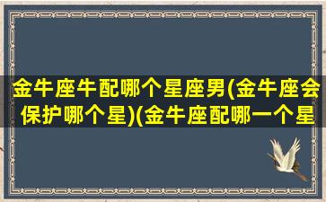 金牛座牛配哪个星座男(金牛座会保护哪个星)(金牛座配哪一个星座)