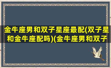 金牛座男和双子星座最配(双子星和金牛座配吗)(金牛座男和双子座男的友谊)