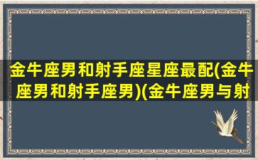 金牛座男和射手座星座最配(金牛座男和射手座男)(金牛座男与射手座女婚配指数)