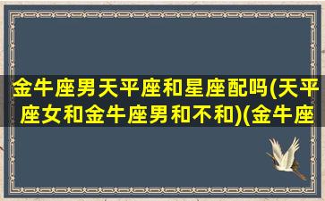 金牛座男天平座和星座配吗(天平座女和金牛座男和不和)(金牛座男和天坪座女)