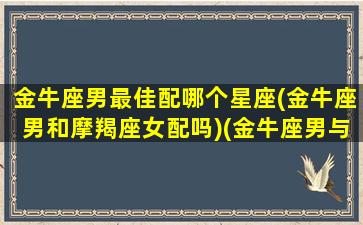 金牛座男最佳配哪个星座(金牛座男和摩羯座女配吗)(金牛座男与哪个星座最配)