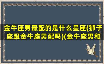 金牛座男最配的是什么星座(狮子座跟金牛座男配吗)(金牛座男和什么星座配对)