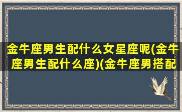 金牛座男生配什么女星座呢(金牛座男生配什么座)(金牛座男搭配什么星座)