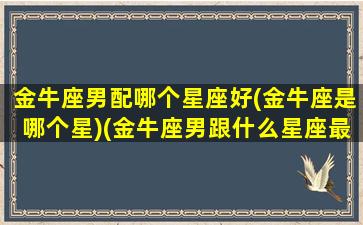 金牛座男配哪个星座好(金牛座是哪个星)(金牛座男跟什么星座最匹配)