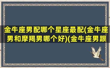 金牛座男配哪个星座最配(金牛座男和摩羯男哪个好)(金牛座男跟哪个星座配)