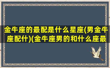 金牛座的最配是什么星座(男金牛座配什)(金牛座男的和什么座最配)