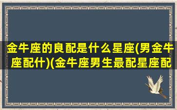 金牛座的良配是什么星座(男金牛座配什)(金牛座男生最配星座配对)