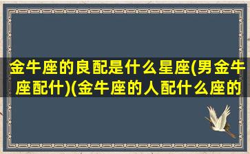 金牛座的良配是什么星座(男金牛座配什)(金牛座的人配什么座的男朋友)